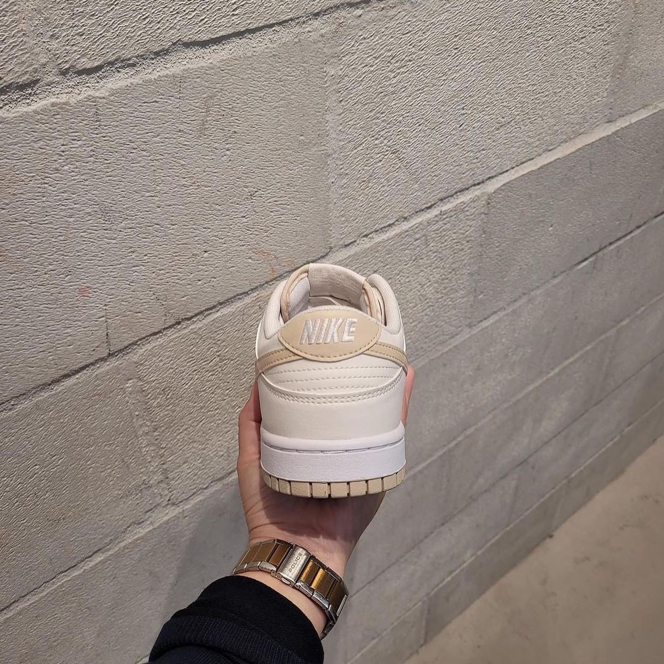 NIKE DUNK LOW 淡奶茶 奶茶 奶油白 大地色 男鞋 DV0831-003 / 預購