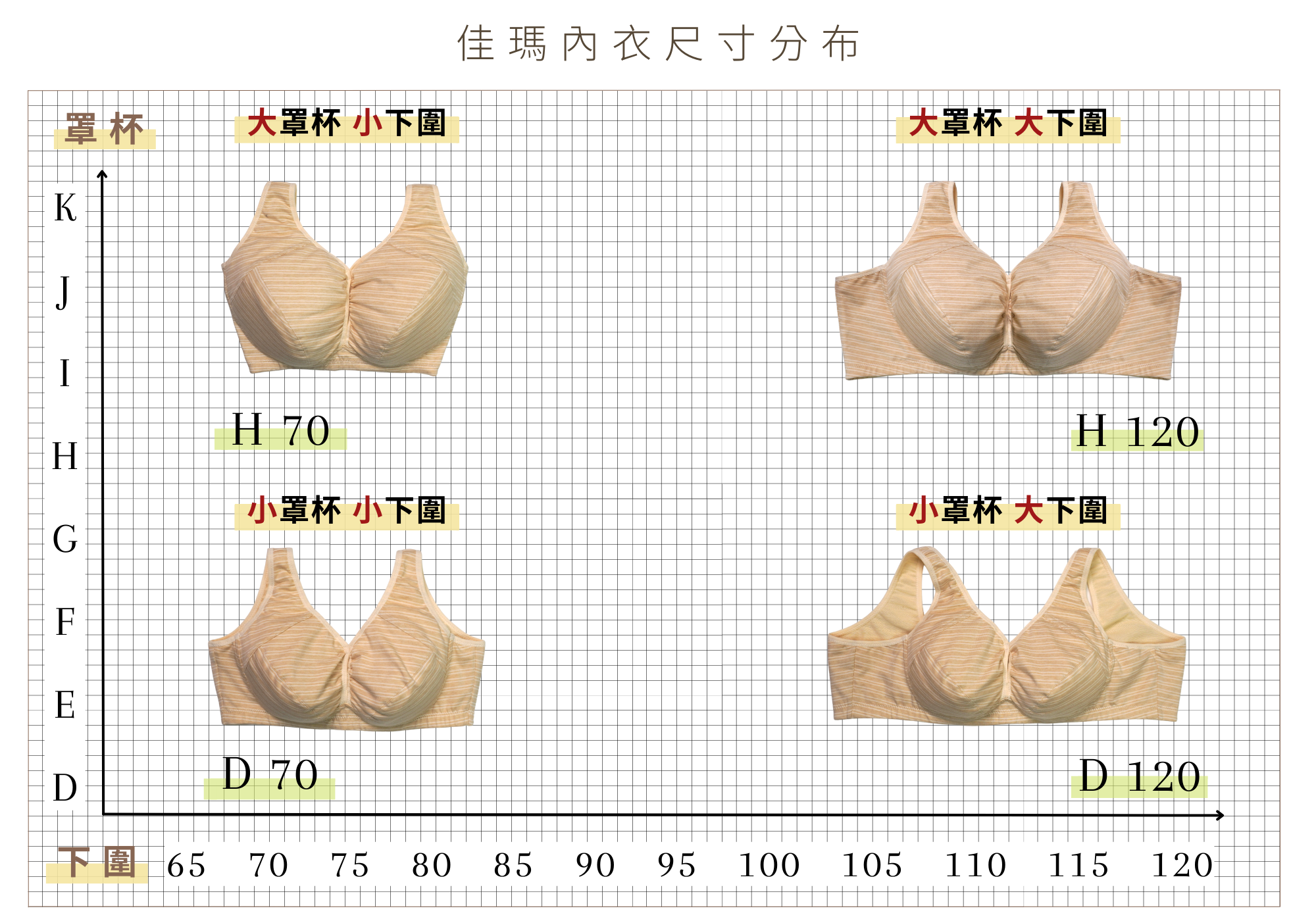 佳瑪大罩杯內衣尺碼分布