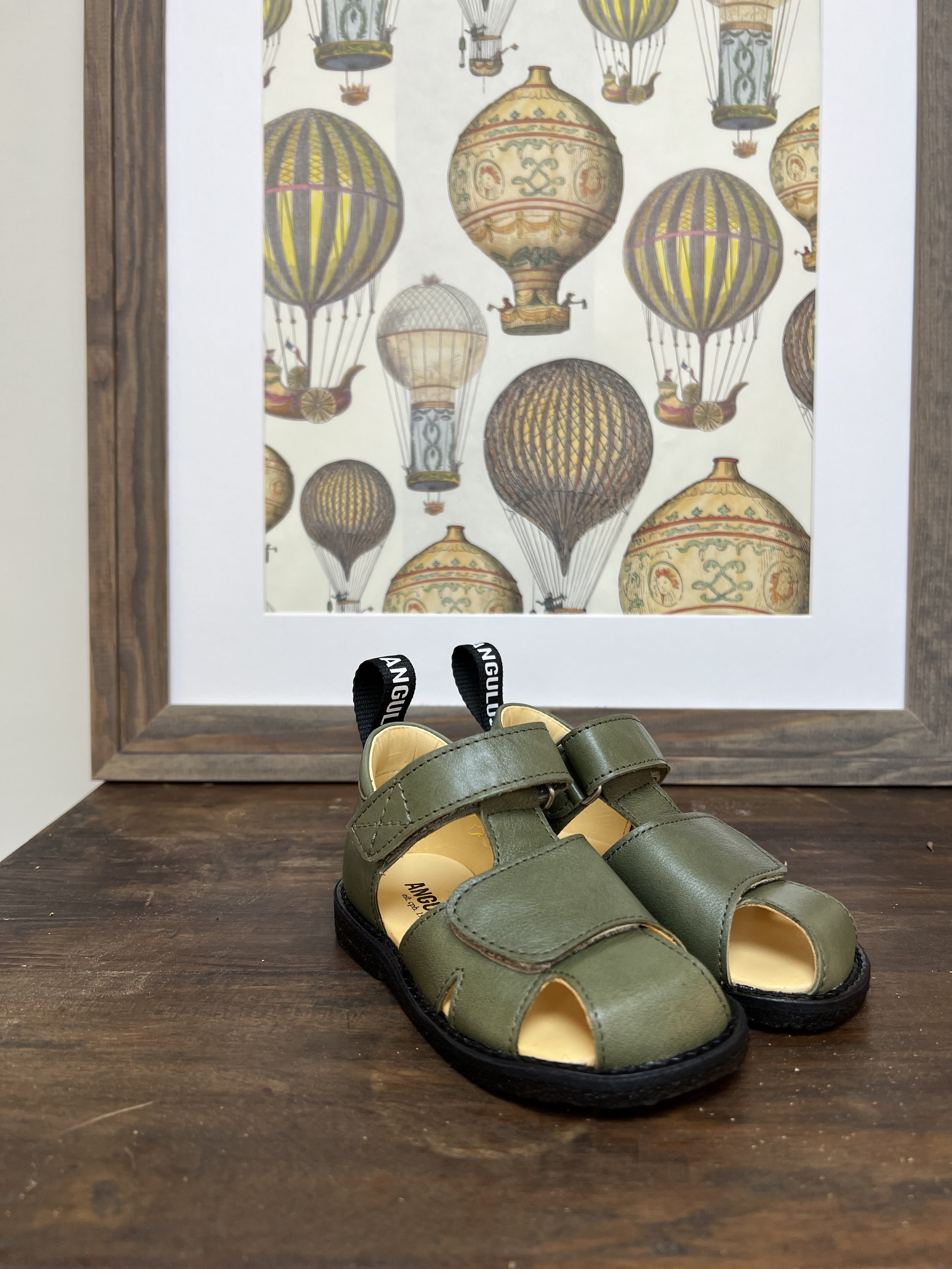 ANGULUS 魔鬼氈涼鞋 STARTER SANDAL WITH LOGO TAPE AND VELCRO CLOSURE  -  DARK GREEN