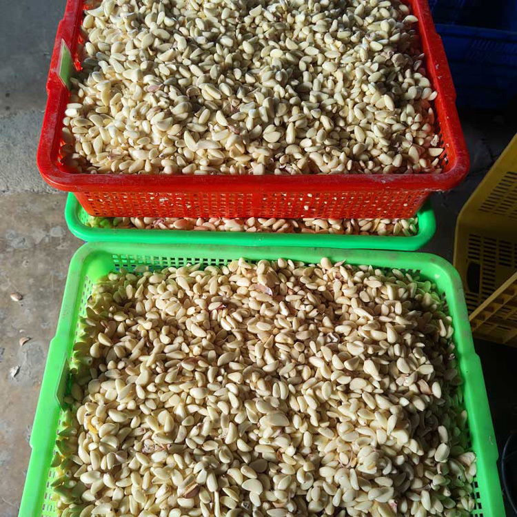 謝佳味蒜頭酥 (120g)