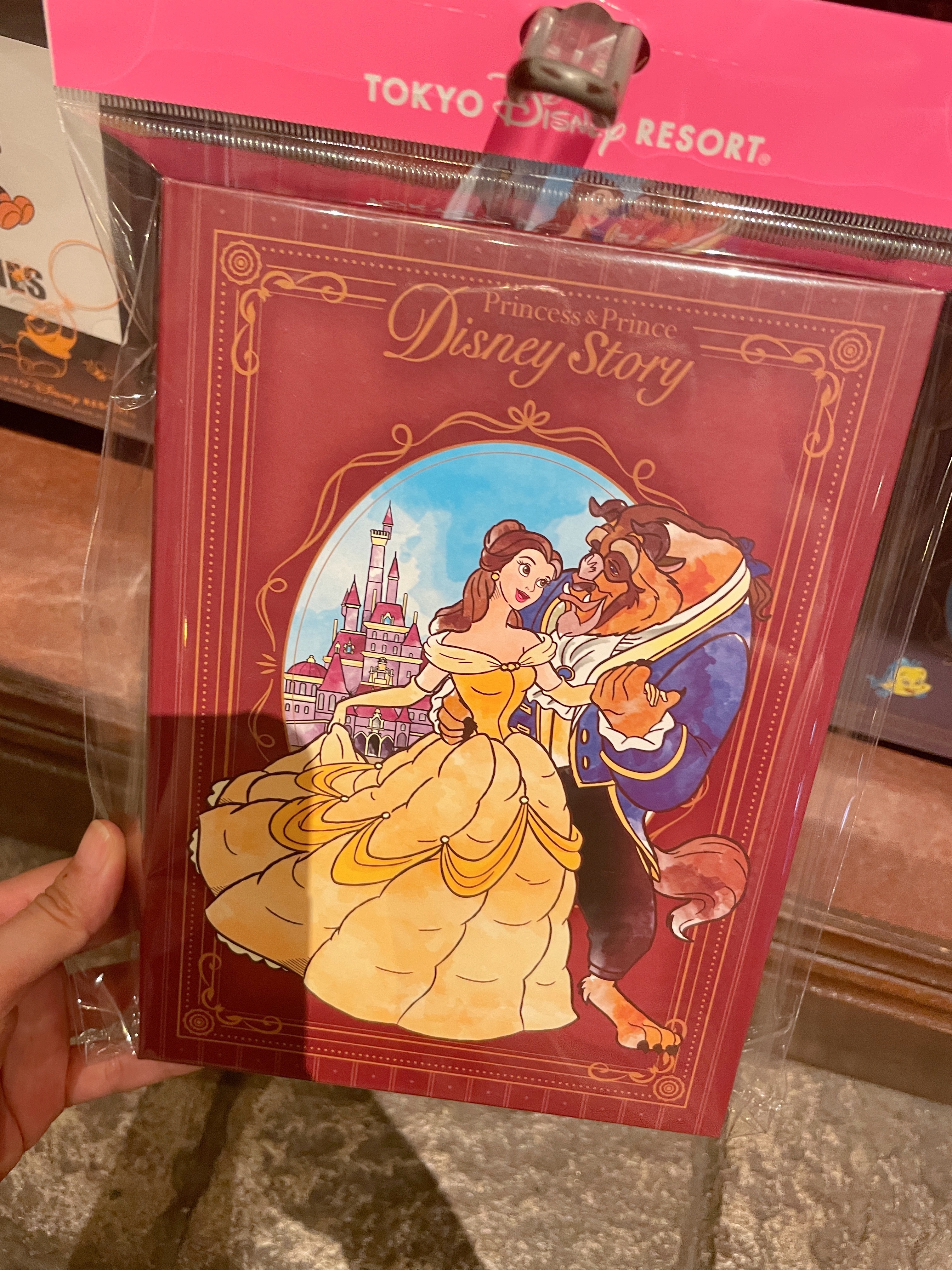 迪士尼樂園連線-公主書本盒裝套組