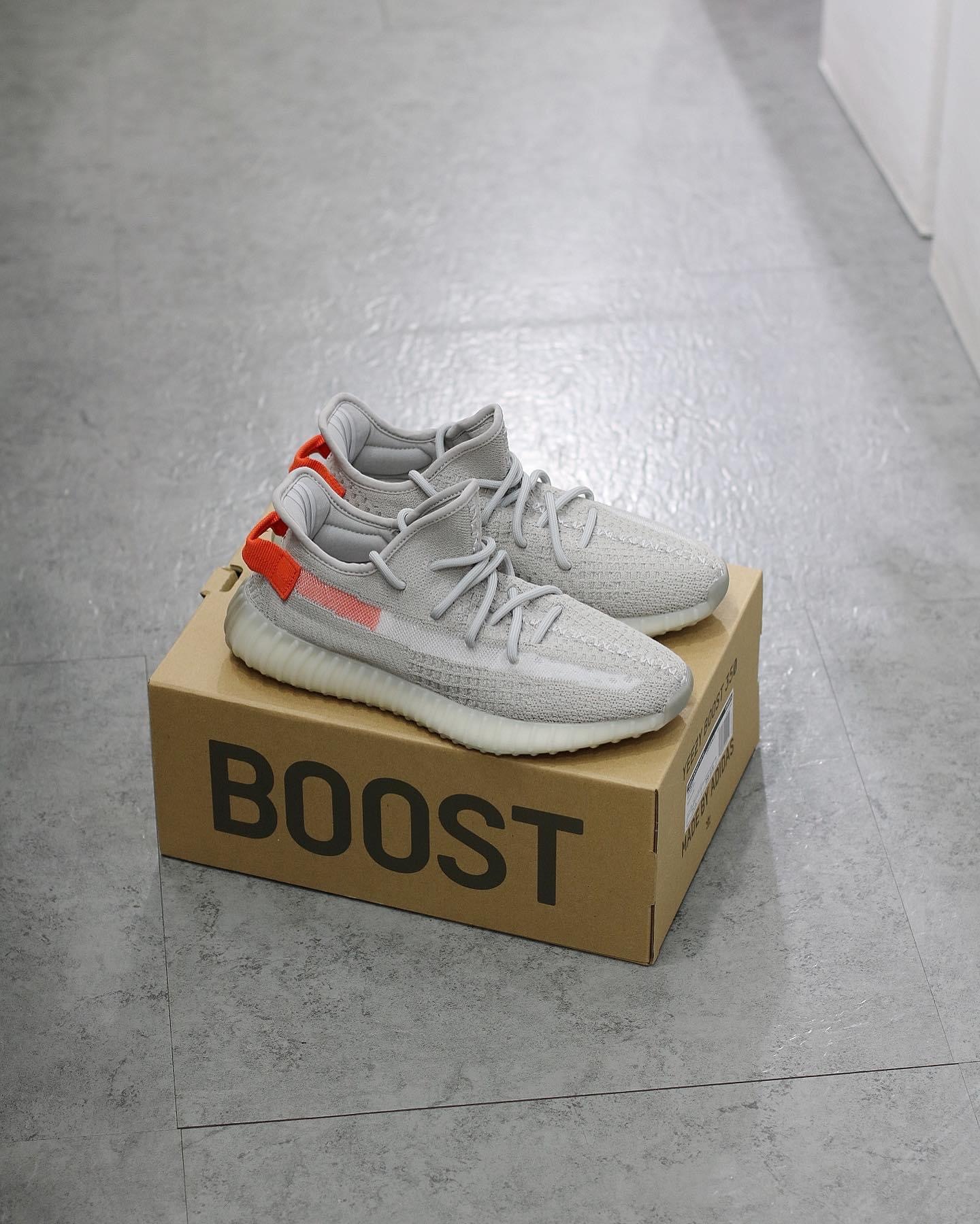 預訂 adidas Yeezy Boost 350 V2 Tail Light  FX9017
