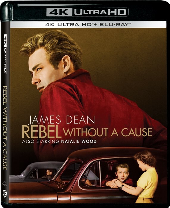 阿飛正傳 (4KUHD+BD)