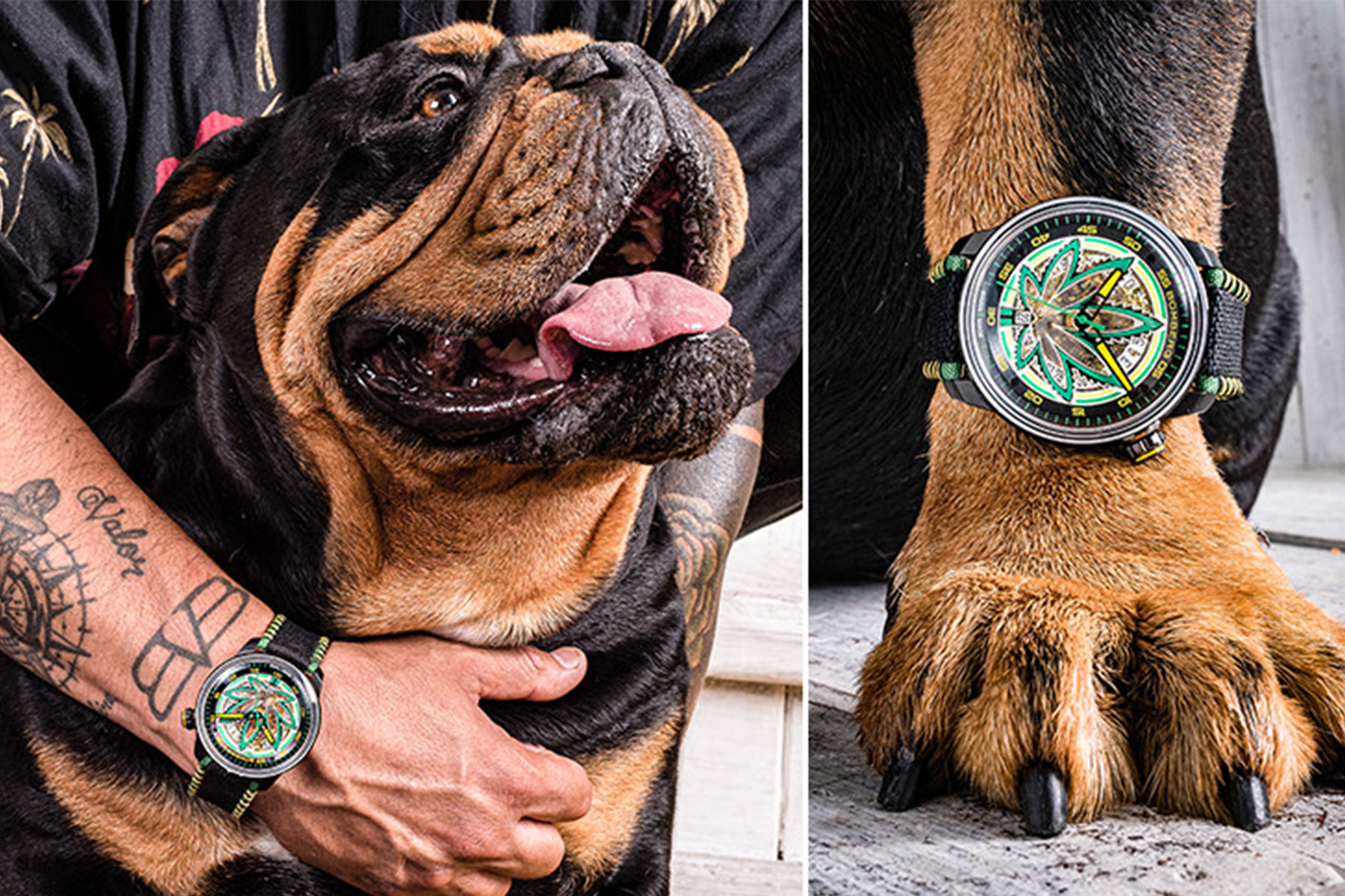 BOMBERG,炸彈錶,大麻錶,機械錶,BB-01,CBD