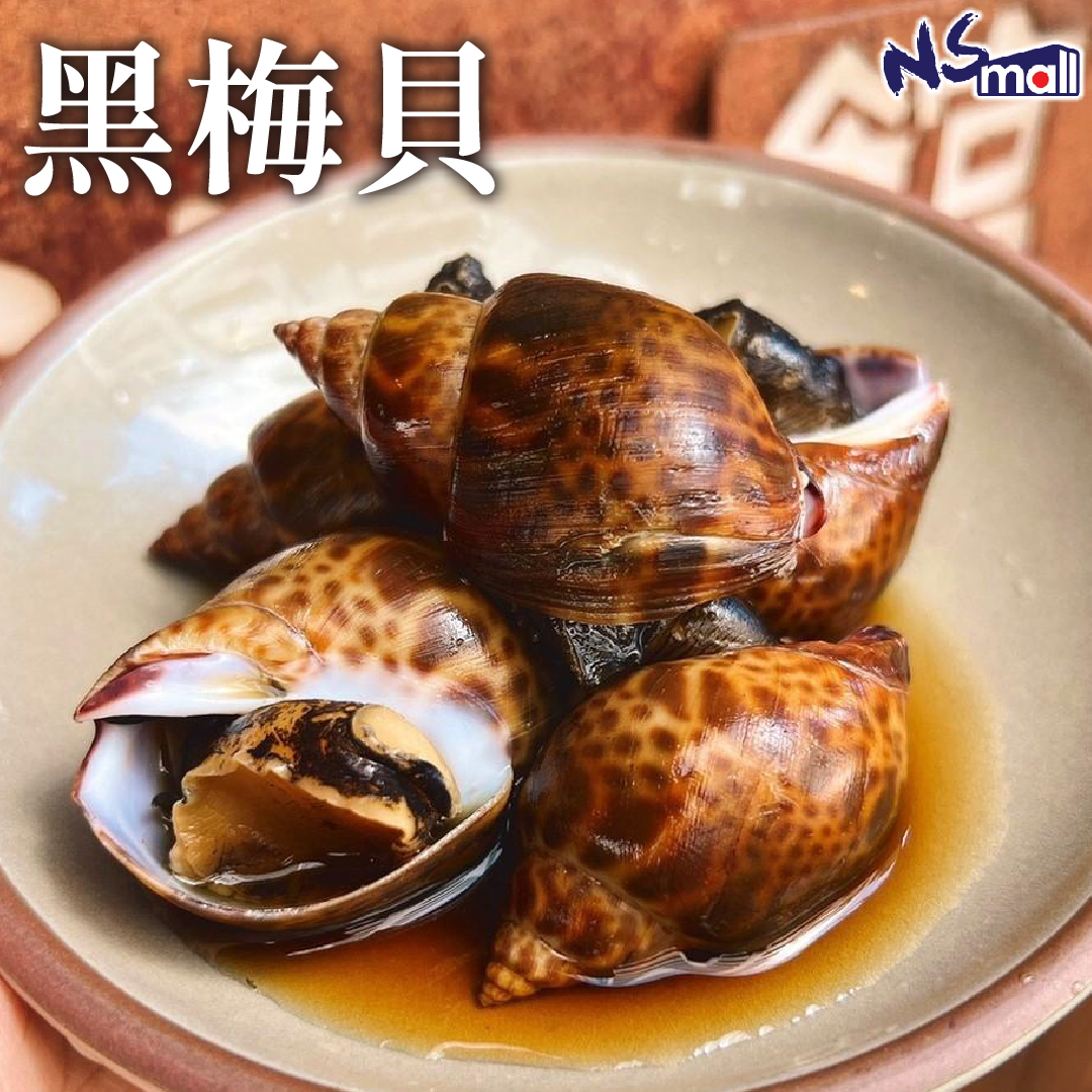 黑梅貝 約500g/份 【熟食用 不可生食】