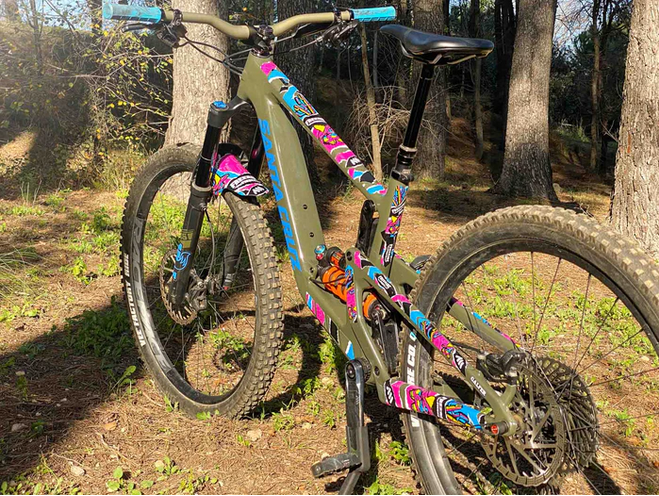 AMS X Freeride Fiesta 2023 Frame Guard (Extra/XL)