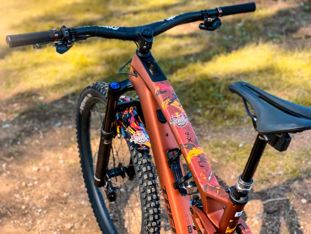 AMS X Red Bull Rampage Frame Guard (Extra/XL)