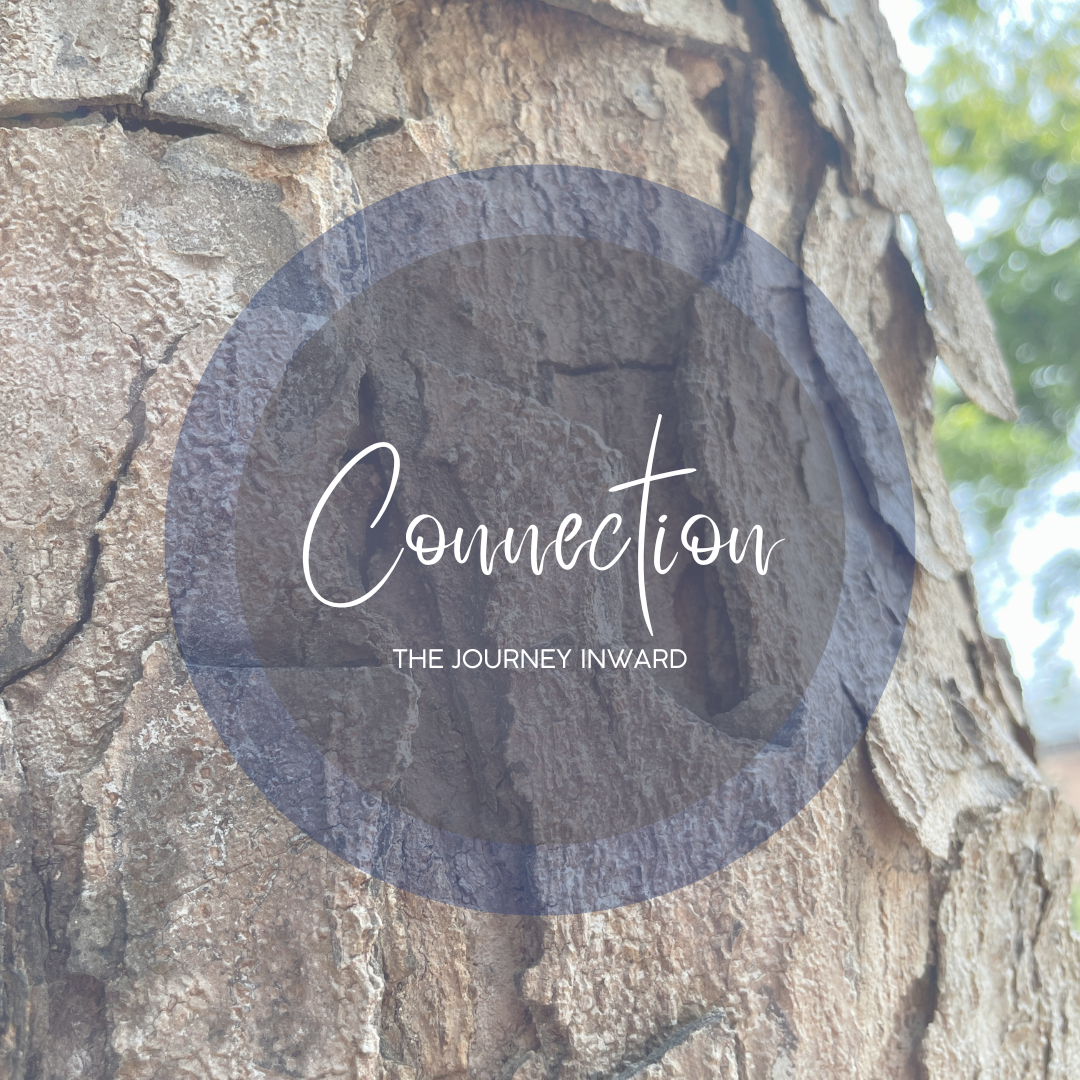 正念冥想入門課