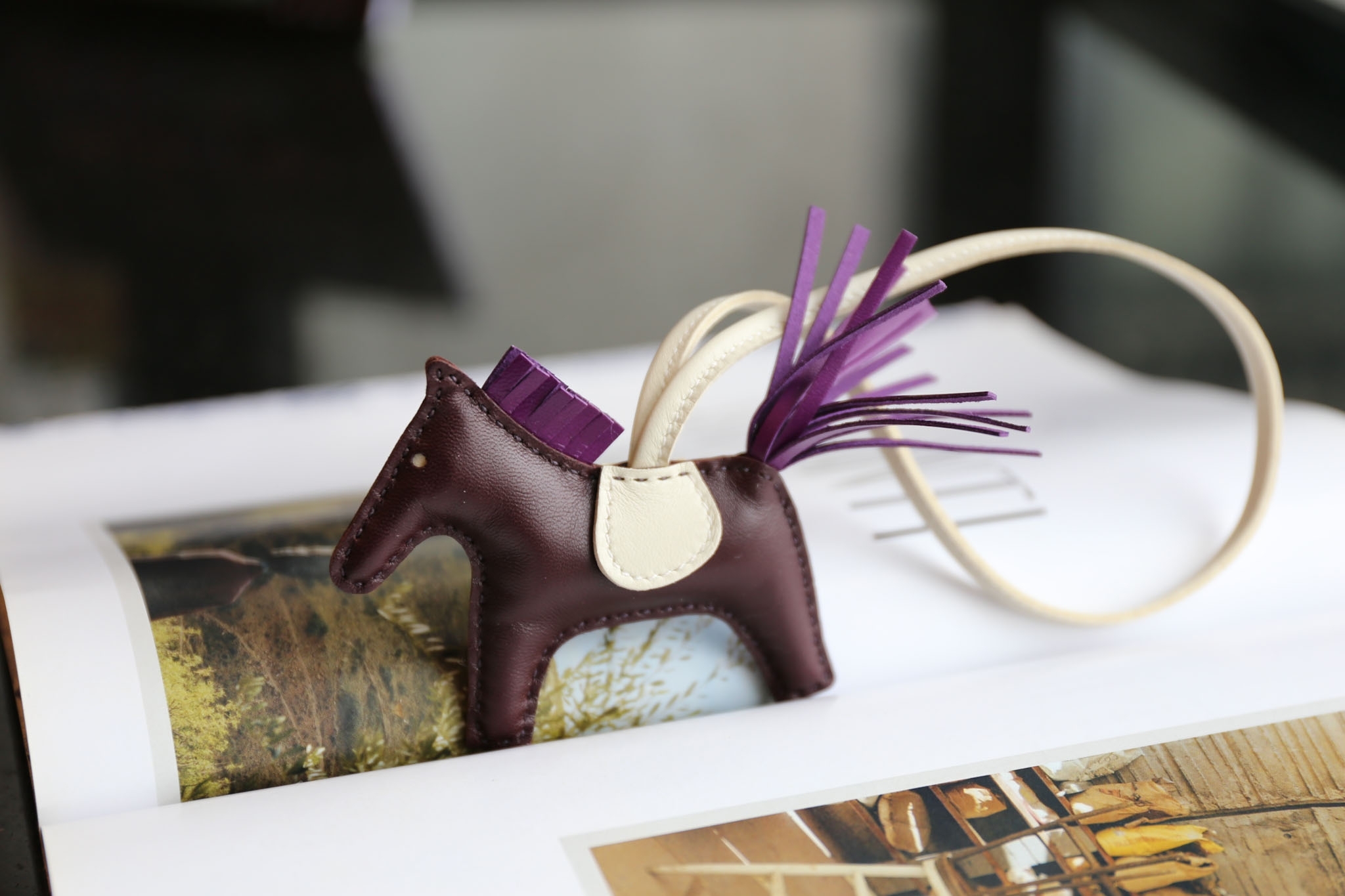 Hermes Rodeo PM Size