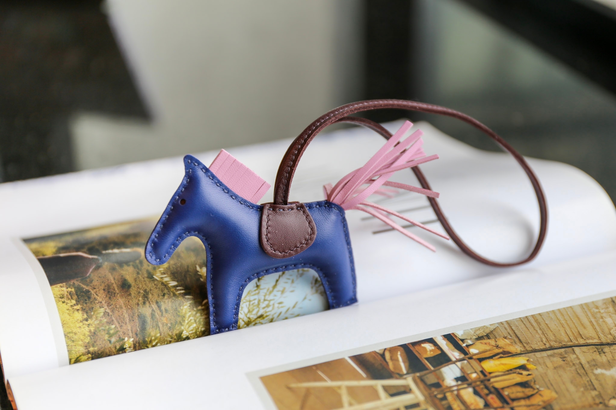 Hermes Rodeo PM Size