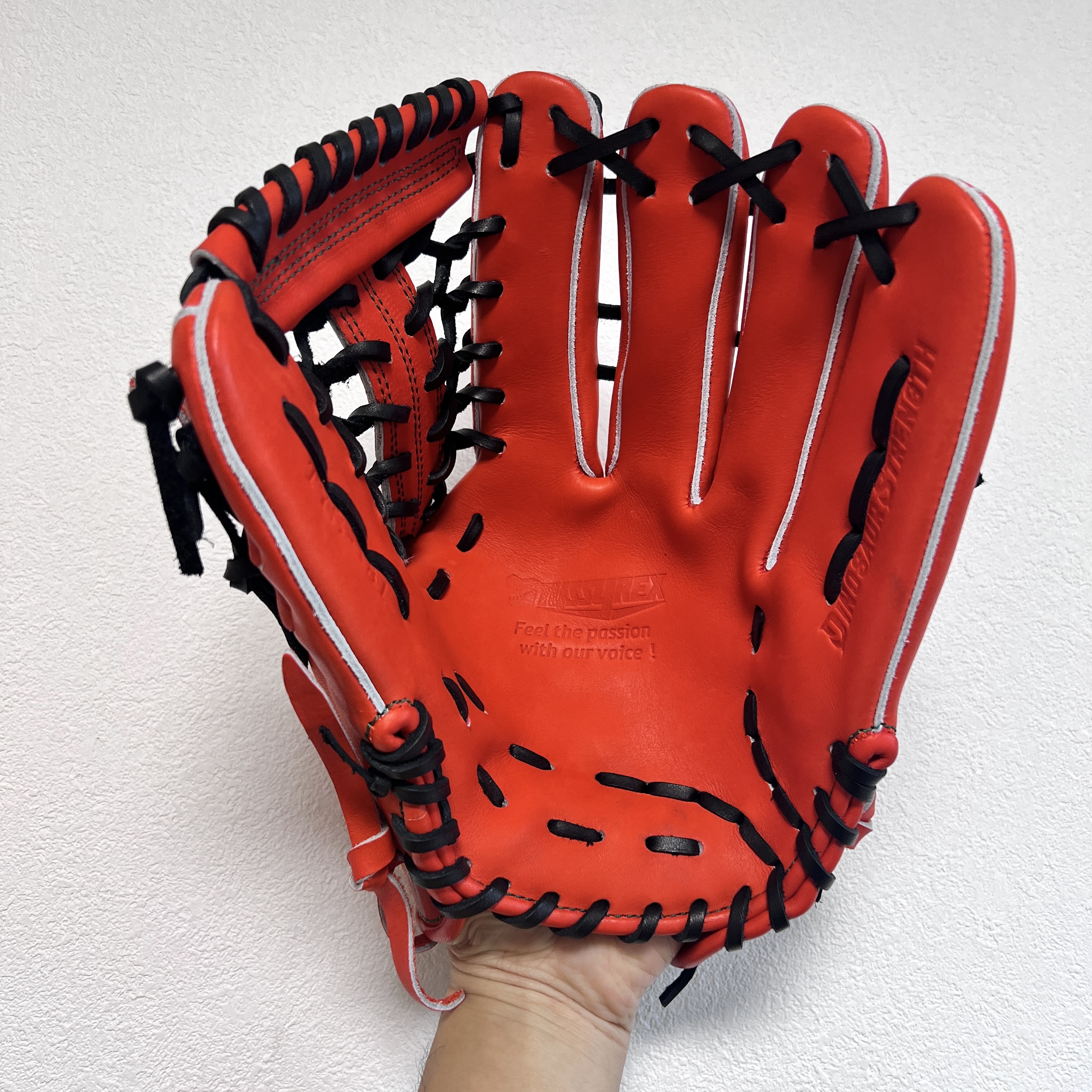 日本職人 Tyssy Craft 暴龍 內外野適用 TYS-161 掌心11.8 手背12吋