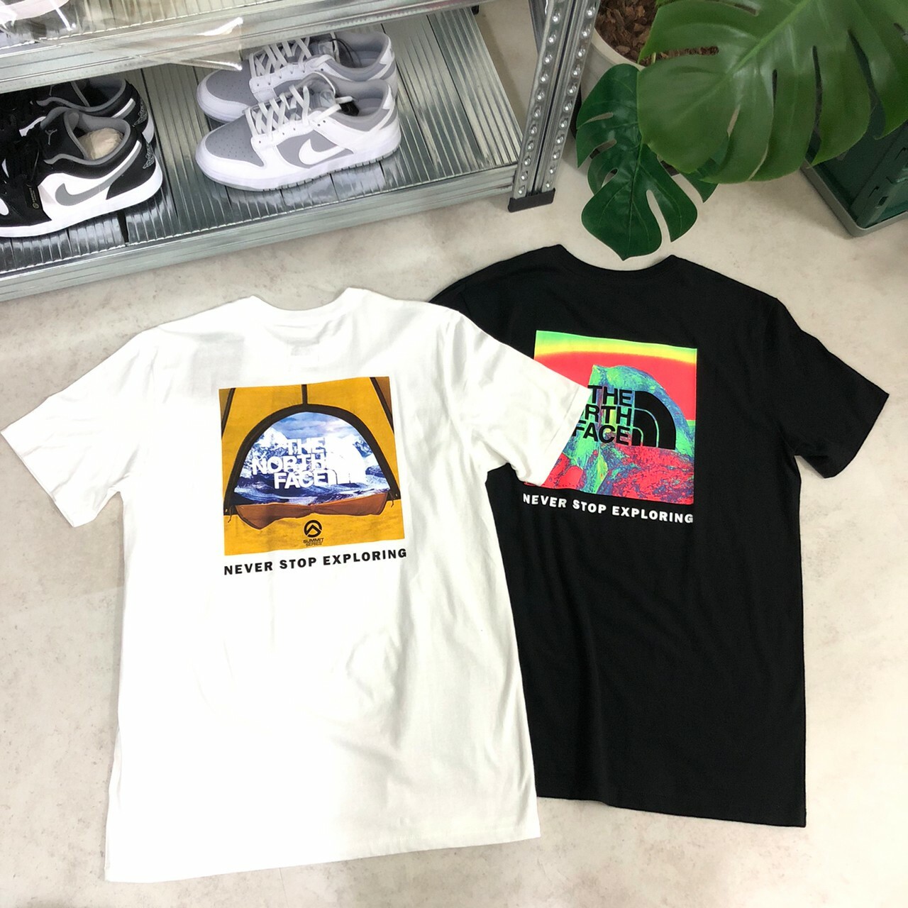 The North Face  冰山 探險 短袖 NF0A7ZWITU21