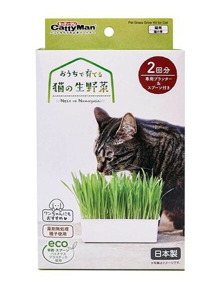 Catty Man 貓草套裝