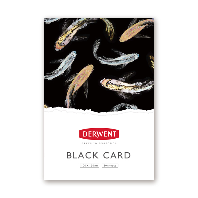 【DERWENT 德爾文】 明信片黑卡紙 DW-T-BKC01