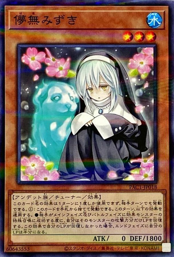 PAC1-JP018 儚無みずき