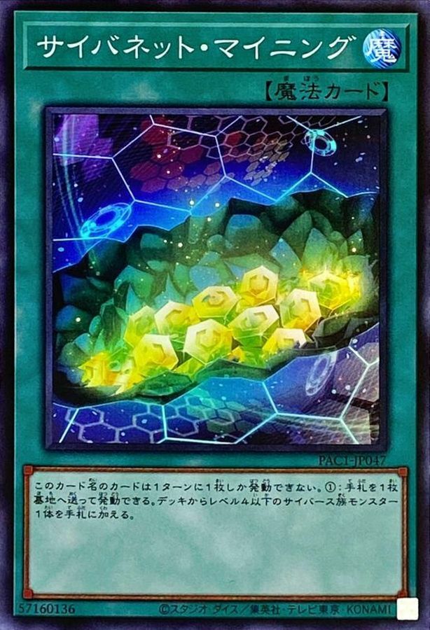 PAC1-JP047 サイバネット・マイニング