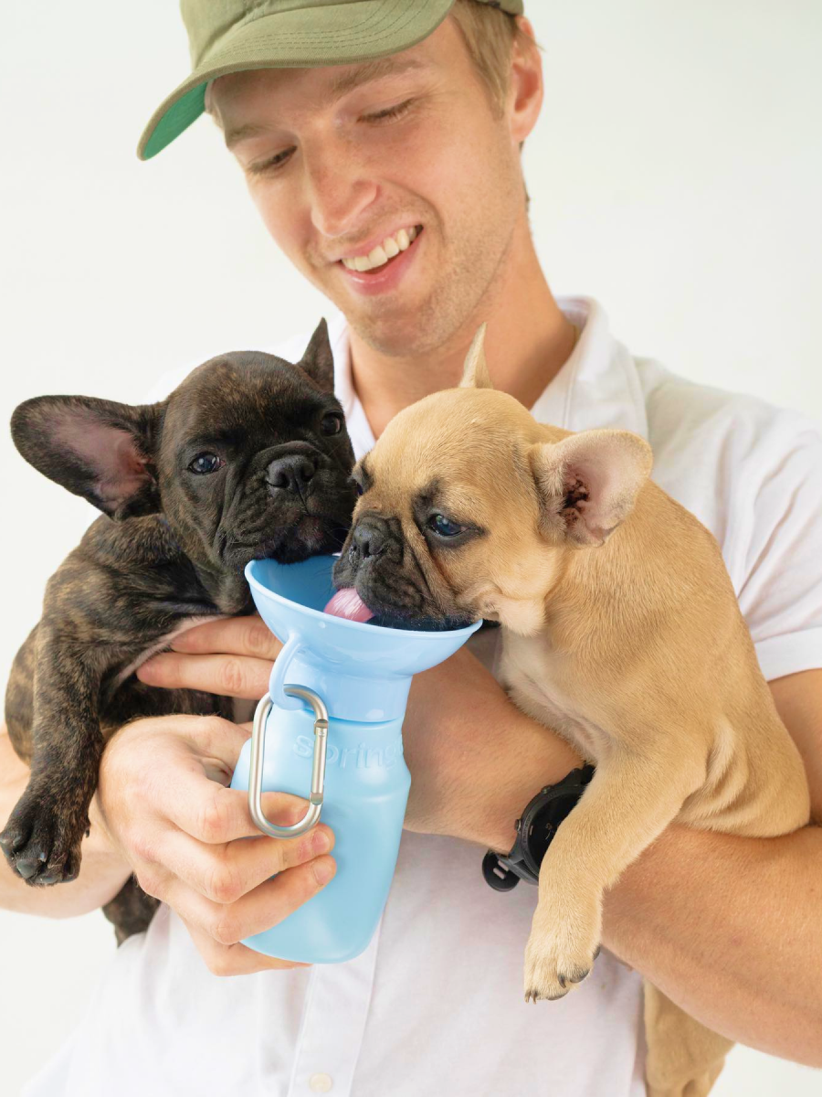 【美國 Springer】迷你外出水壺｜寵物水壺