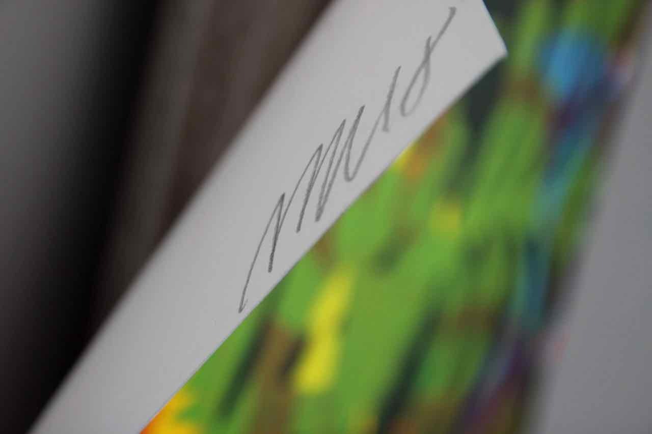 Martin Lopez’s Mácula A