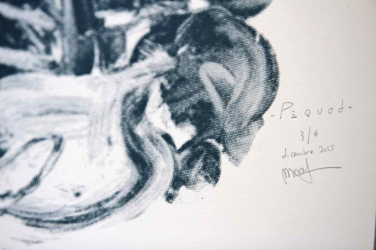 PEQUOD (series)