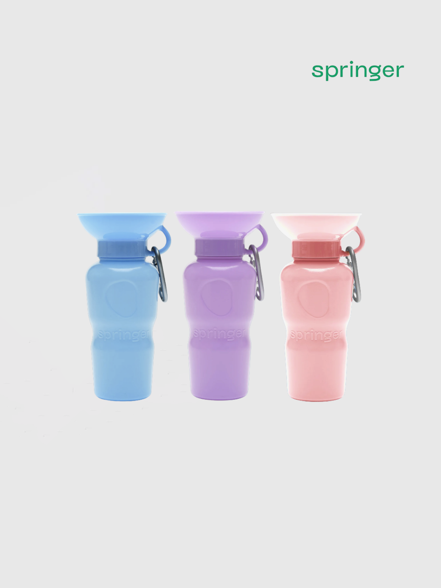 【美國 Springer】經典外出水壺｜寵物水壺