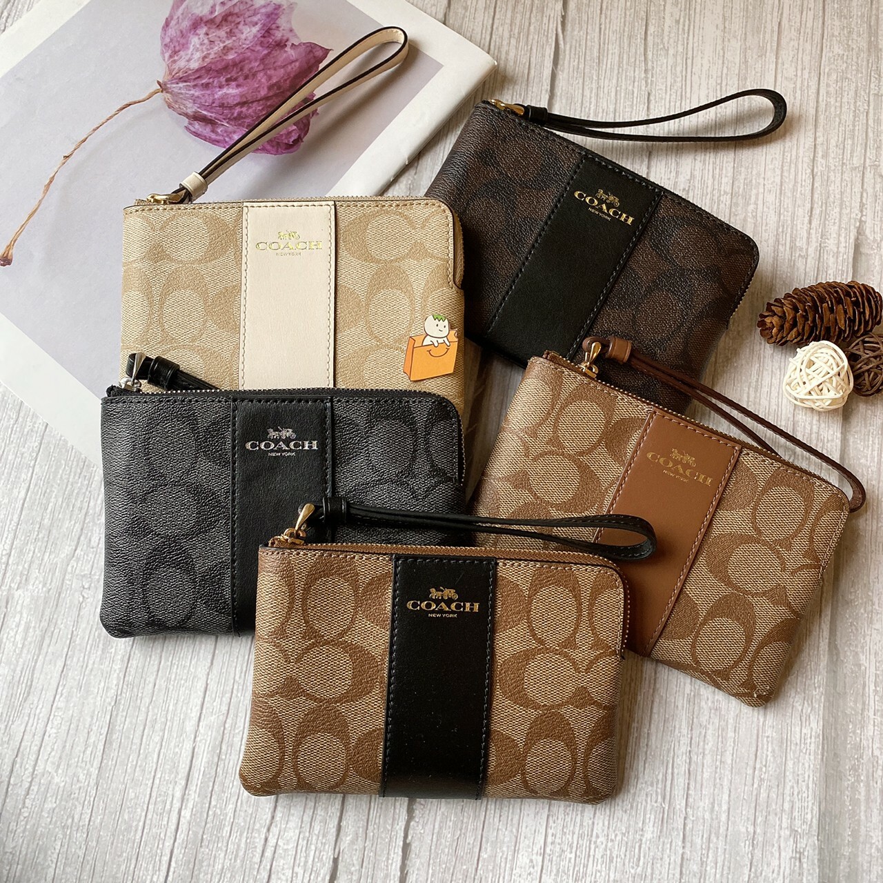 【現貨】COACH 單層小手拿 (多色可選)手拿包