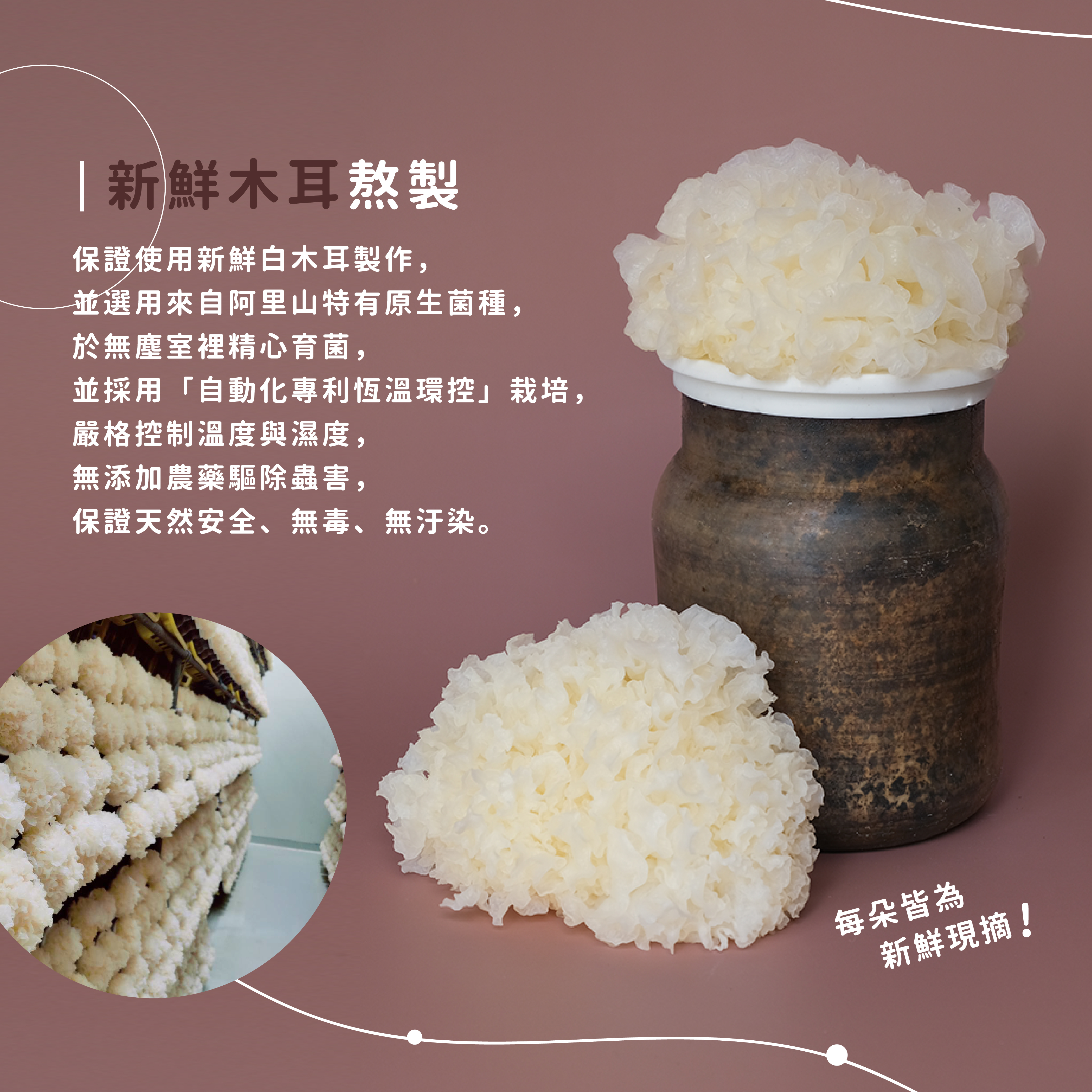 珍珠雲朵白木耳飲_單瓶