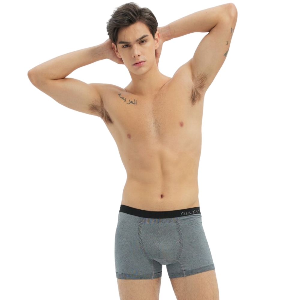 【 5+1件組】能量銀纖維鍺石火耀褲(三角/平口) 限時搶購【帶媽媽春遊趣】