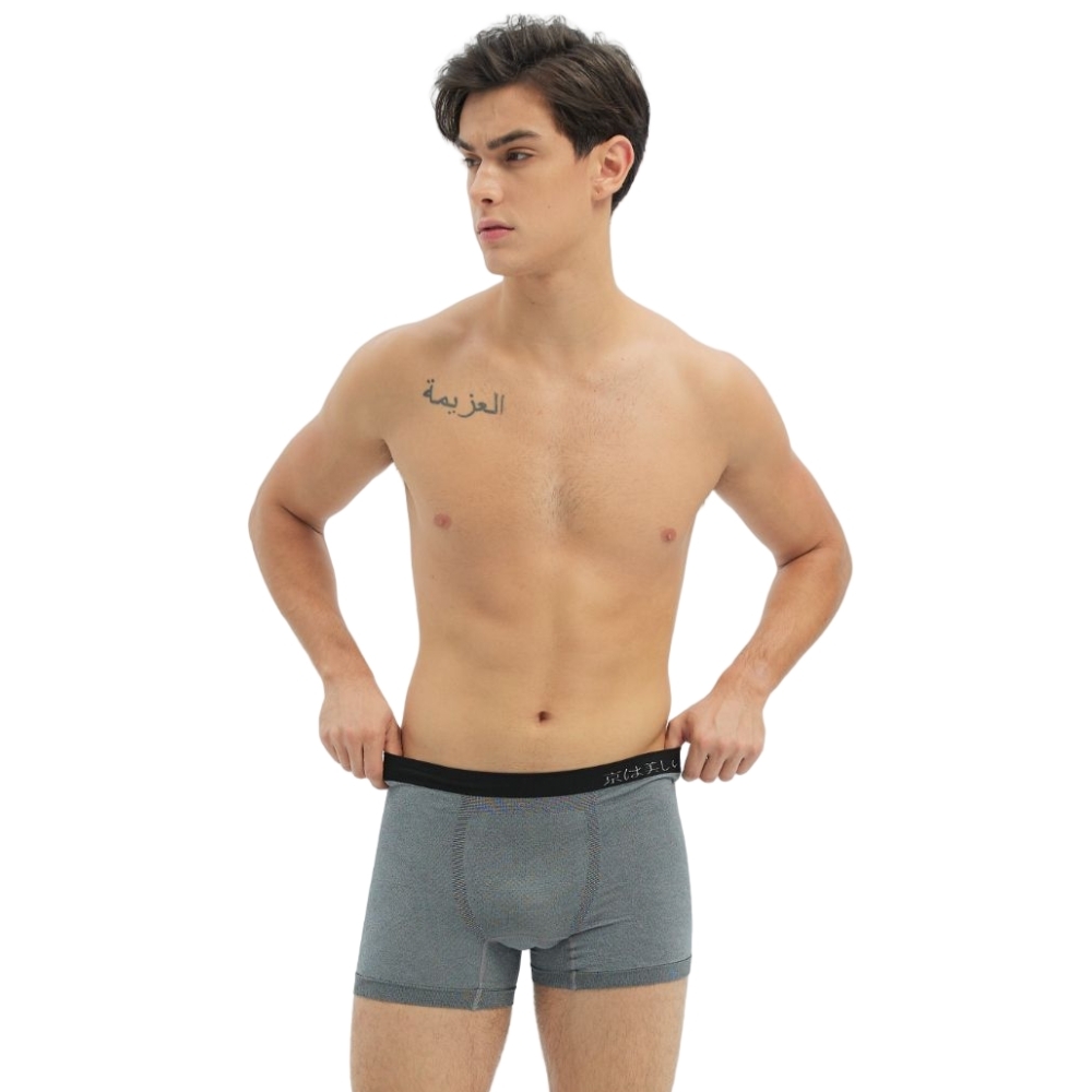 【 5+1件組】能量銀纖維鍺石火耀褲(三角/平口) 限時搶購【帶媽媽春遊趣】