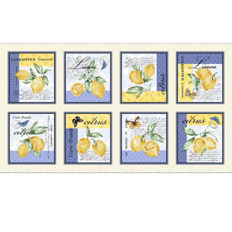 進口棉布R2302-074 (約2尺)