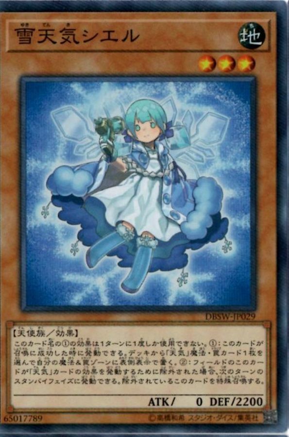 DBWS-JP029 雪天気シエル