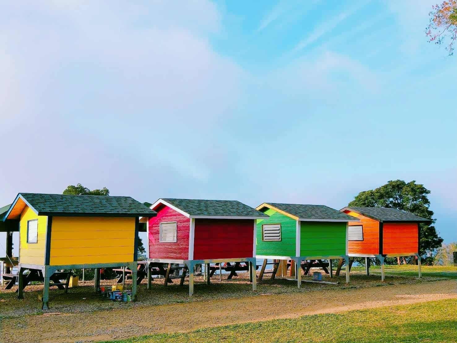 新竹尖石親子露營區-自然野趣露營區 彩虹小木屋