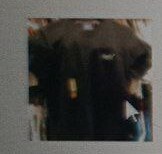 [S] SUPERDRY ESSENTIAL LOGO EMB TEE,BLACK/OPTIC, M1011245A-33B (SSD69)