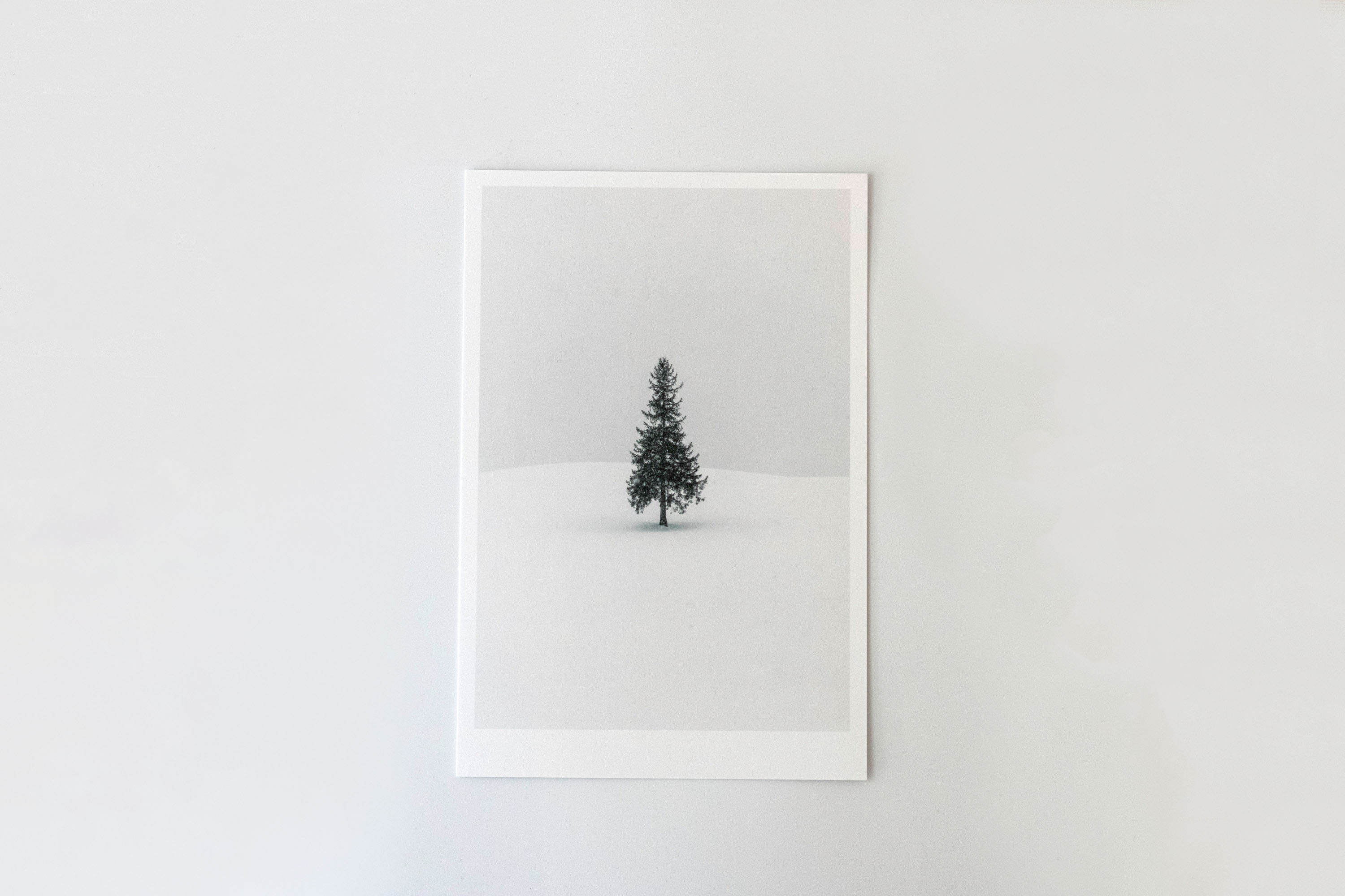 前田景攝影周邊-A5明信片卡(F)