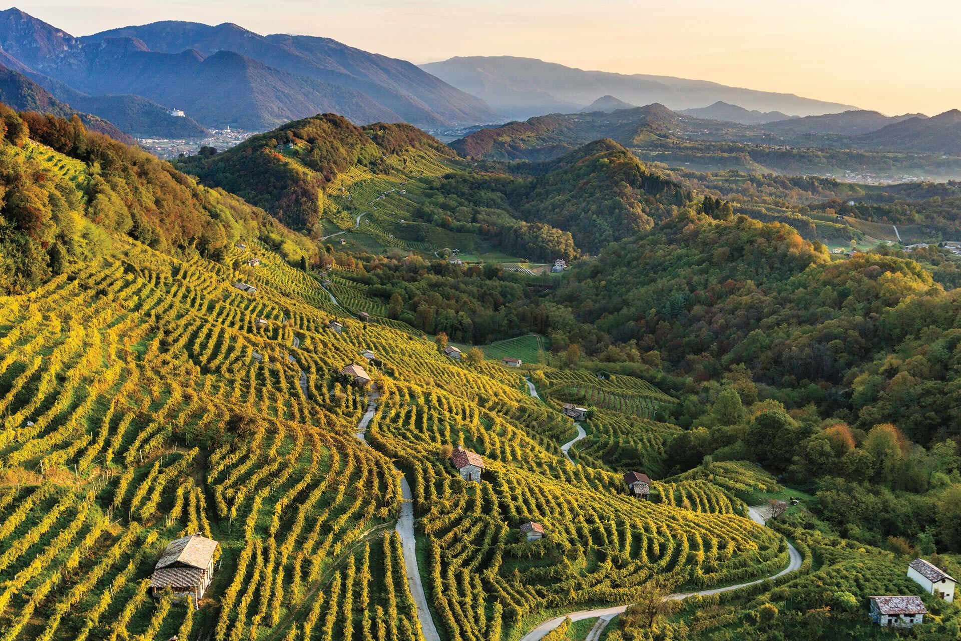 Rive Prosecco,單一園，Conegliano Valdobbiadene Prosecco Superiore DOCG，科內利亞諾.瓦多比亞德內超級普洛賽克法定產區，Sparkling，氣泡酒