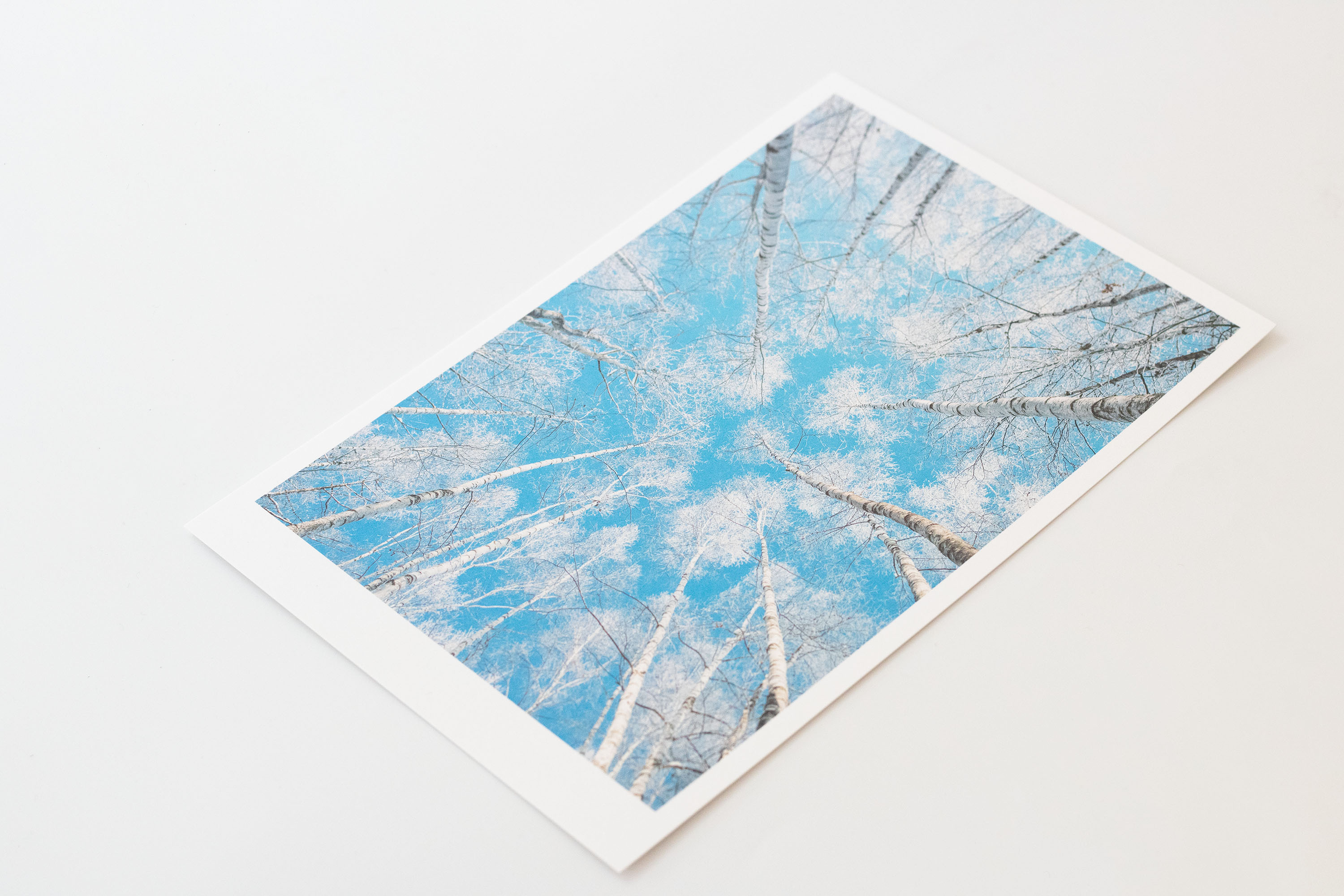 前田景攝影周邊-A5明信片卡 (D)