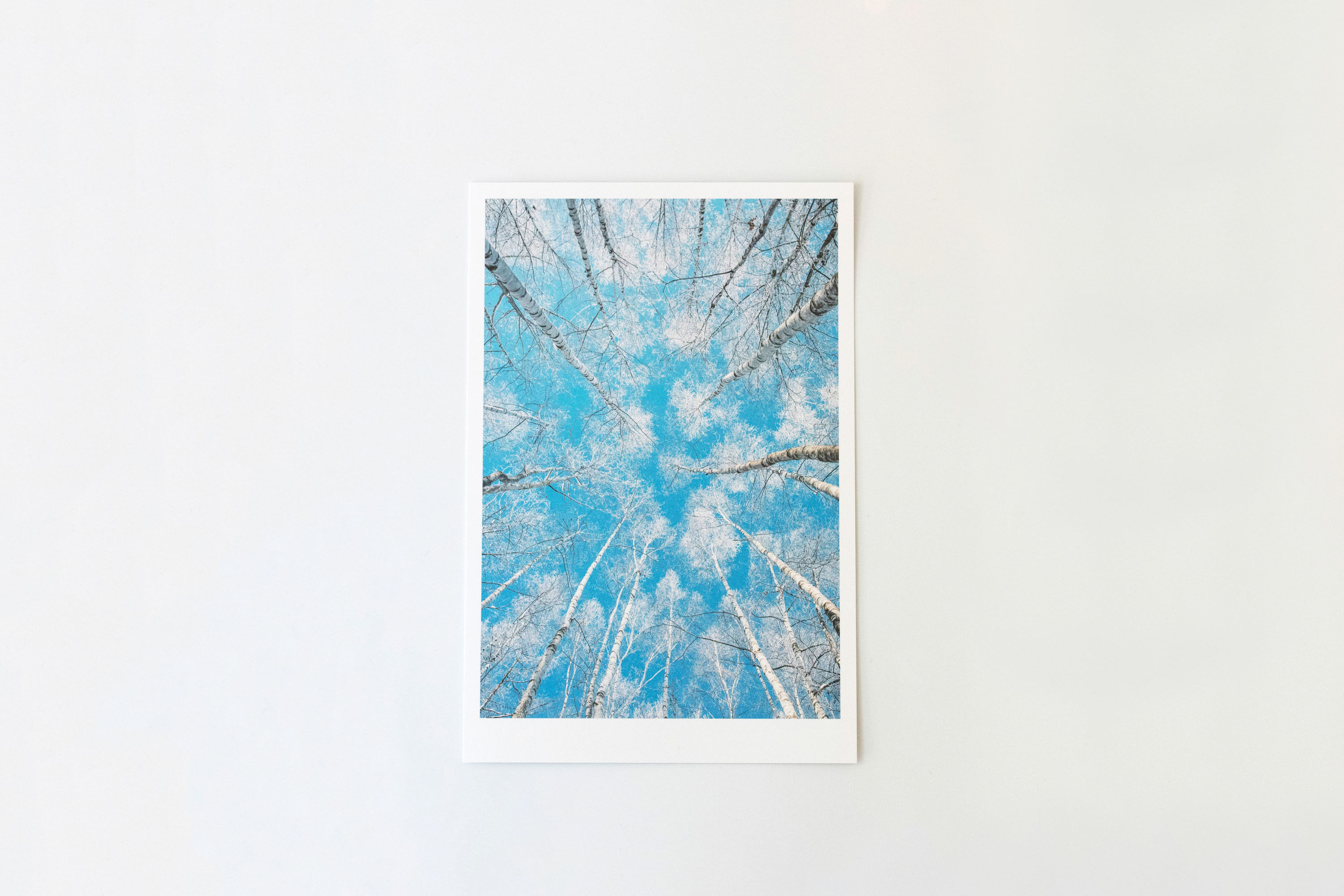 前田景攝影周邊-A5明信片卡 (D)