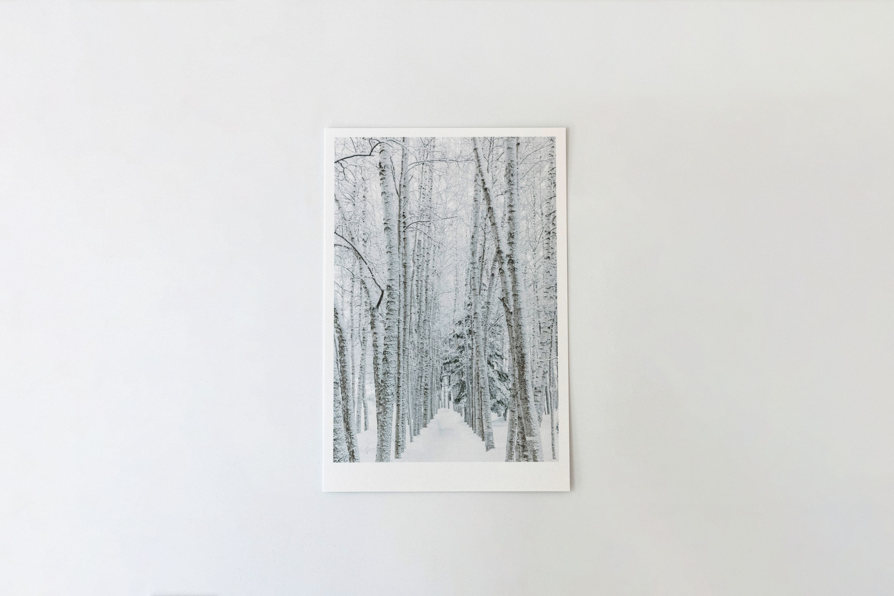 前田景攝影周邊-A5單張明信片卡 (C)