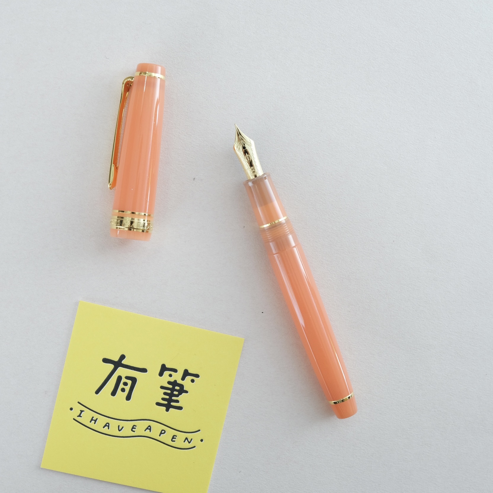 寫樂 節句 海外限定版 14K鋼筆 - 重陽｜日本 Sailor Go-Sekkou Kiku