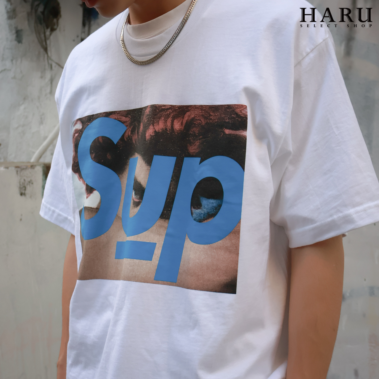 Supreme ss23 x Undercover Face tee 照片聯名款黑白短T SS23T8