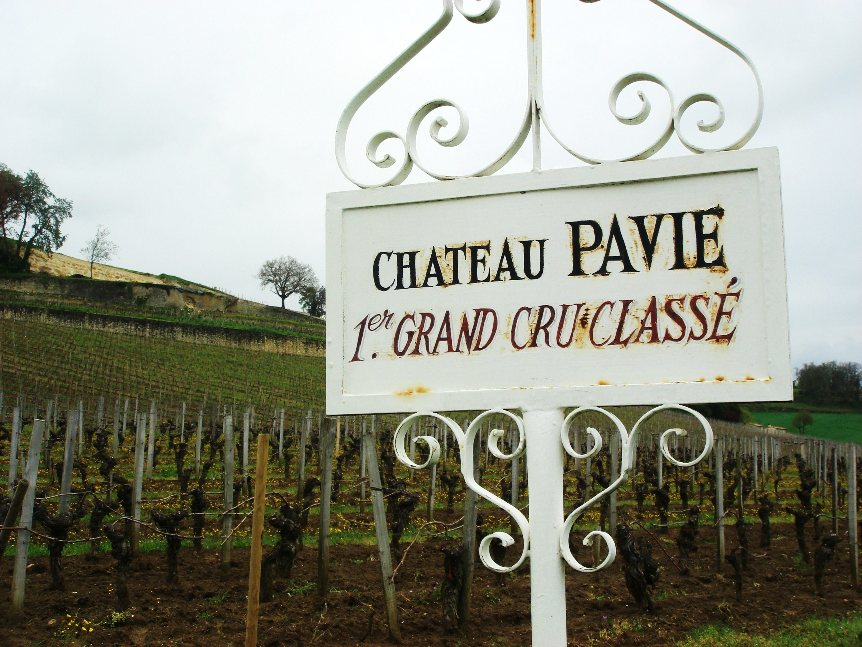 Pavie