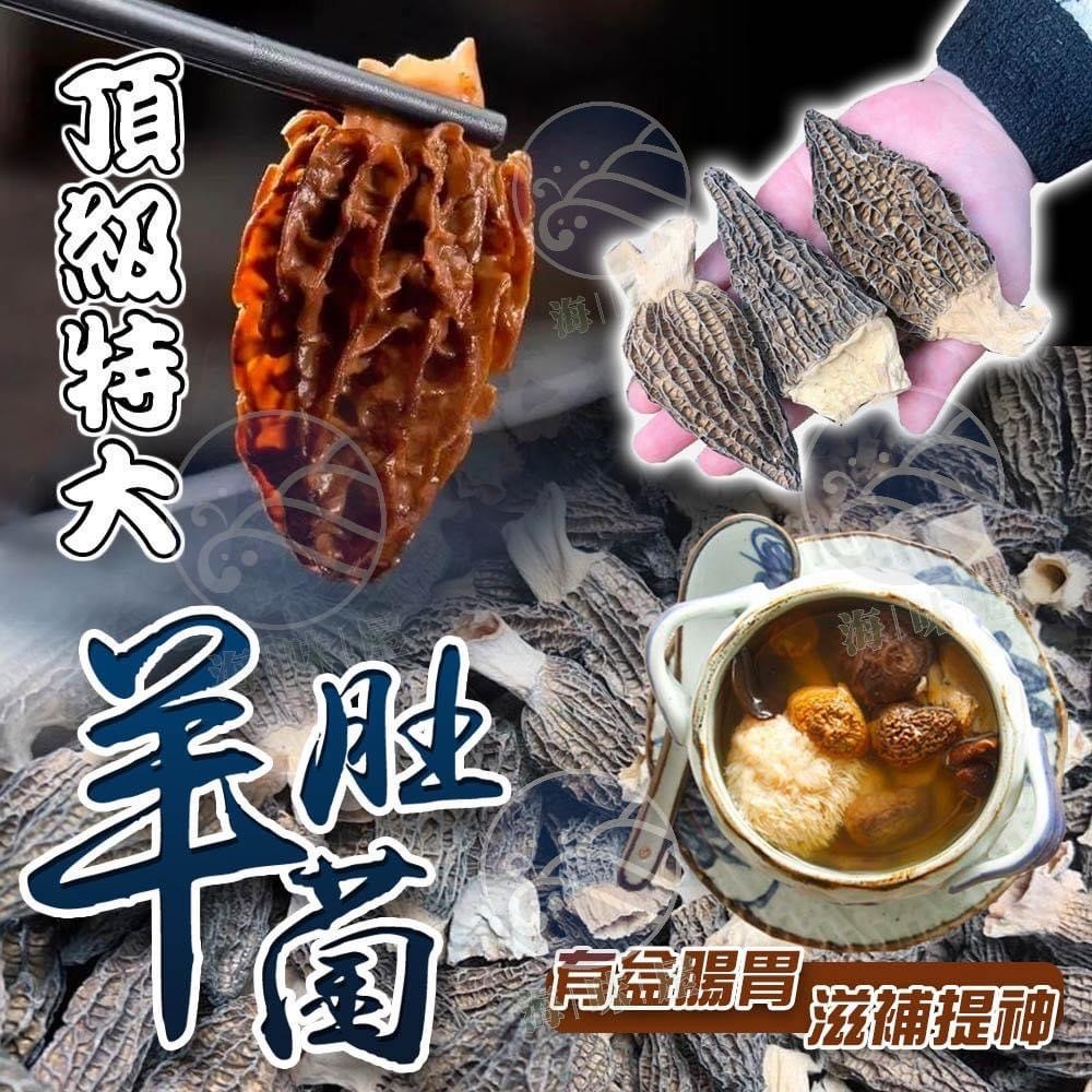 H20944 頂級羊肚菌（3両）