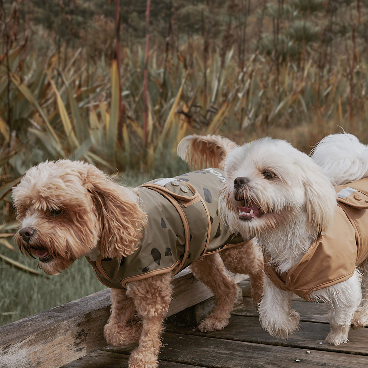 紐西蘭Crywolf 毛孩防風時尚雨衣 - Khaki Stones