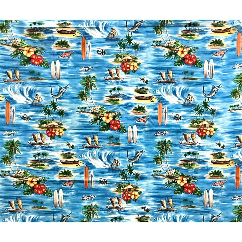 進口棉布00309【碼】