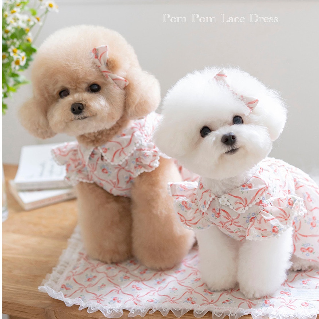 OPAAAP 荳荳蕾絲洋裝