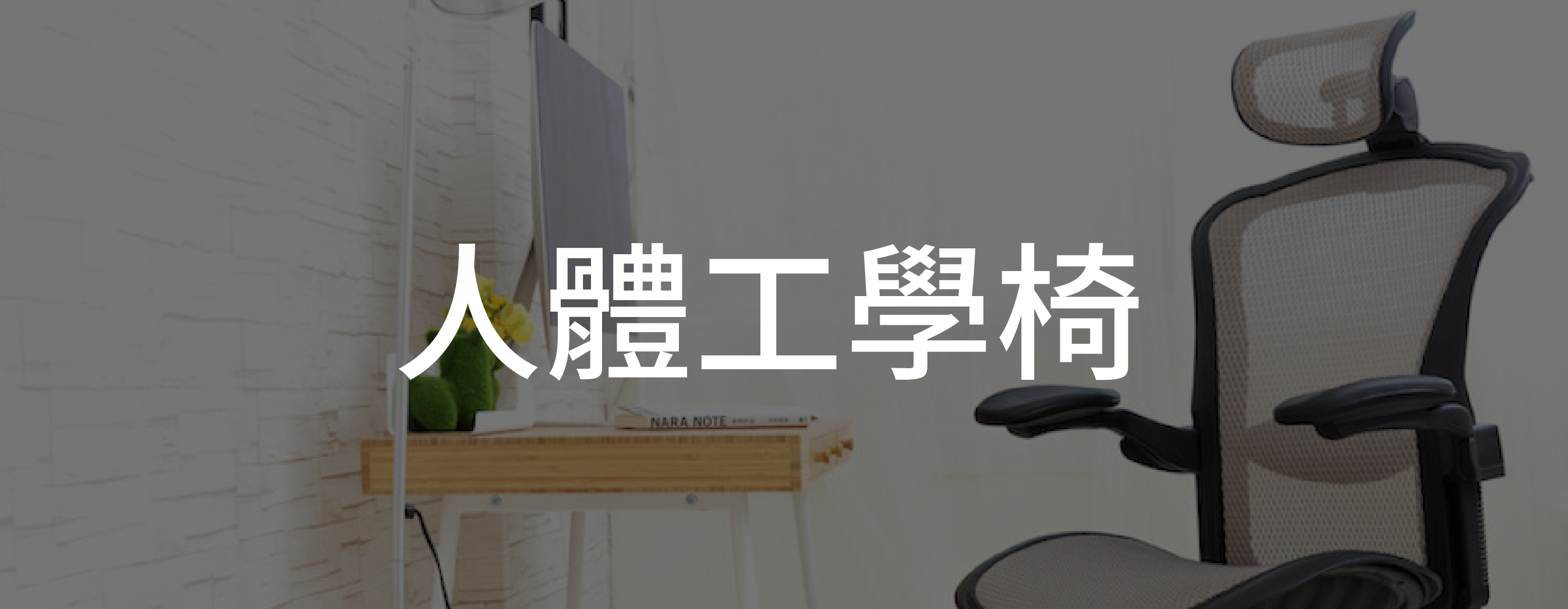 FUNTE升降桌-人體工學椅