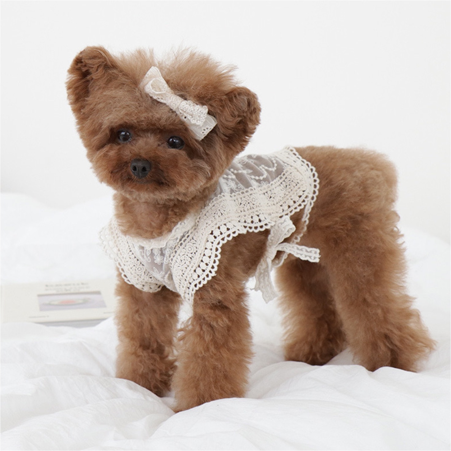 EOMUK 蕾絲波浪罩衫