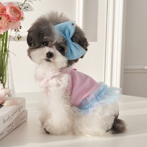 Pawfect Seoul 棉質糖果上衣