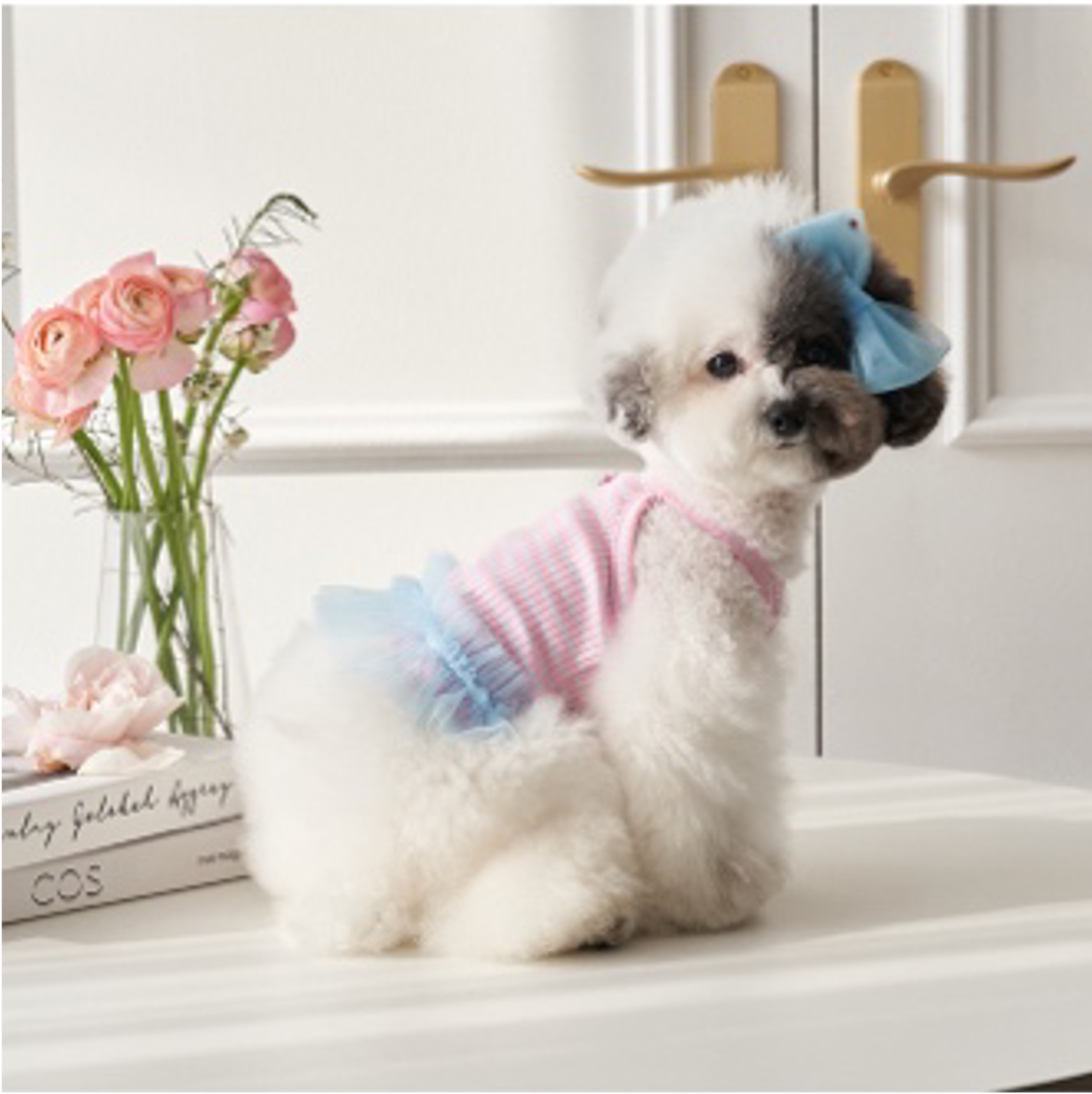 Pawfect Seoul 棉質糖果上衣