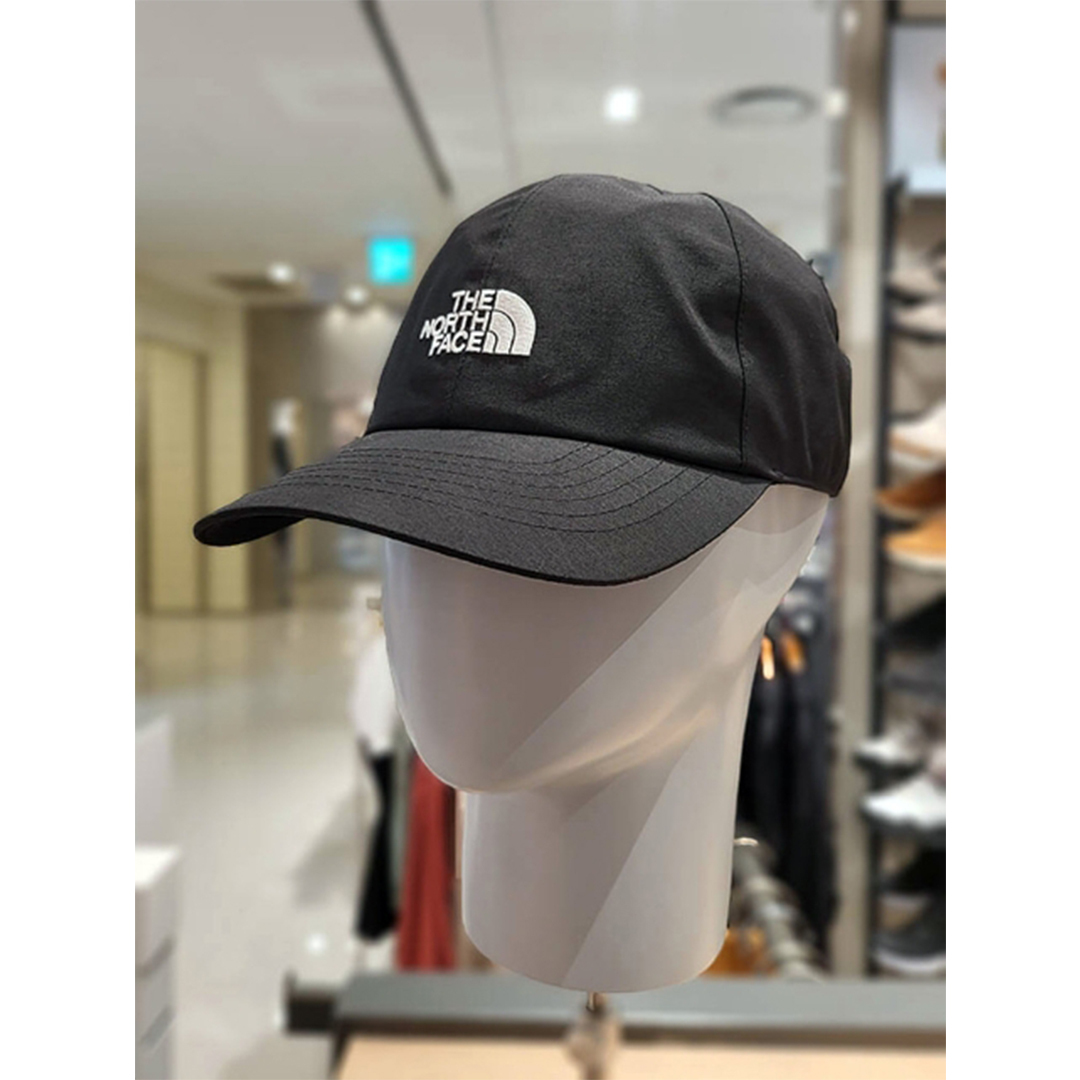 The north face 2025 logo gore hat