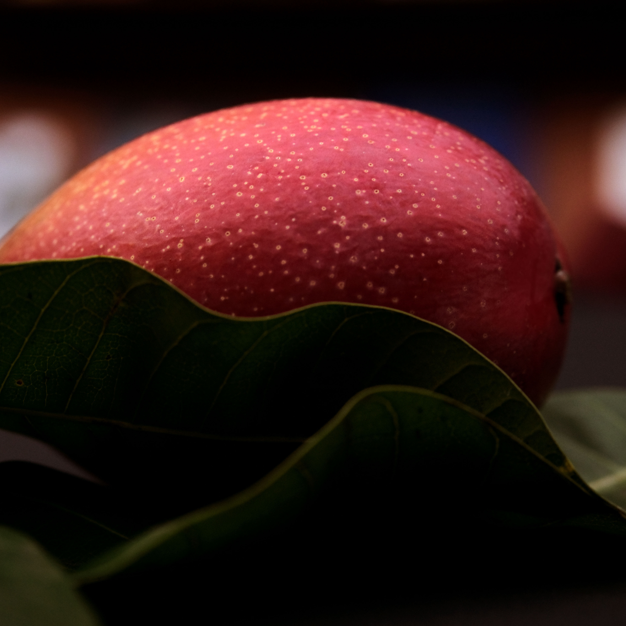 【仲夏限定】台南玉井愛文芒果禮盒